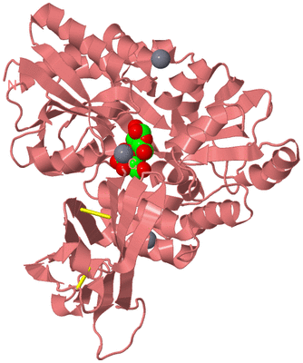 Image Biological Unit 8