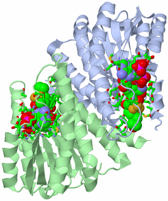 Image Biol. Unit 1 - sites