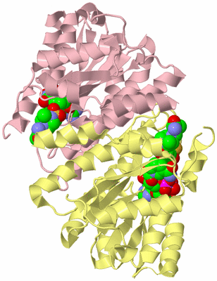 Image Biological Unit 2