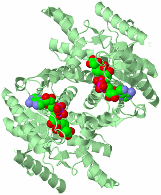 Image Biological Unit 3