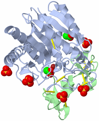 Image Asym./Biol. Unit