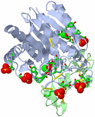 Image Asym./Biol. Unit - sites