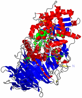 Image Asym./Biol. Unit - sites