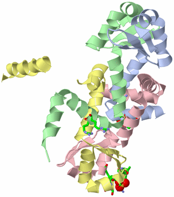 Image Biol. Unit 1 - sites