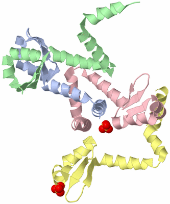 Image Biological Unit 3