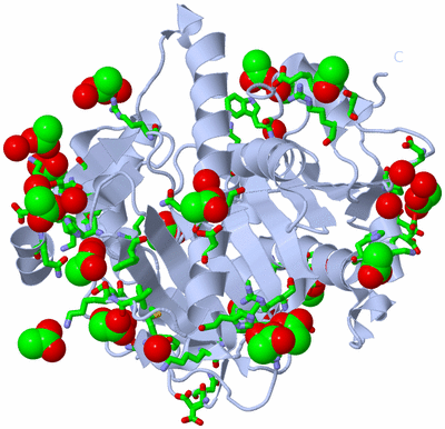 Image Biol. Unit 1 - sites