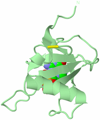 Image Biological Unit 2