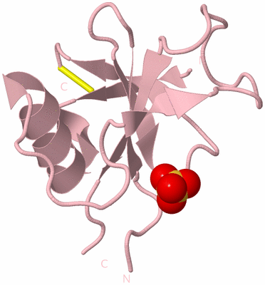 Image Biological Unit 3