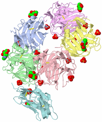 Image Biological Unit 1