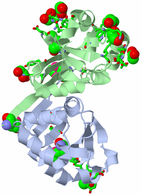 Image Asym./Biol. Unit - sites