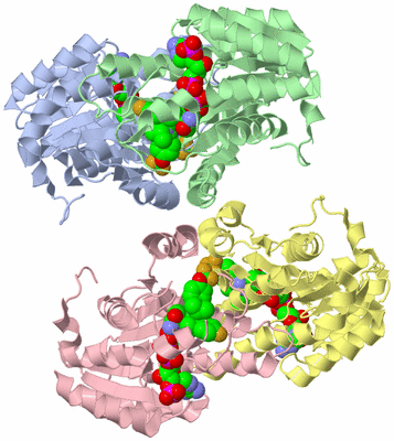 Image Biological Unit 1