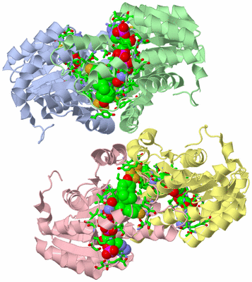 Image Biol. Unit 1 - sites