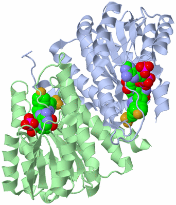 Image Biological Unit 2