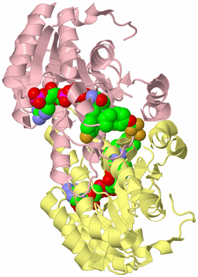 Image Biological Unit 3