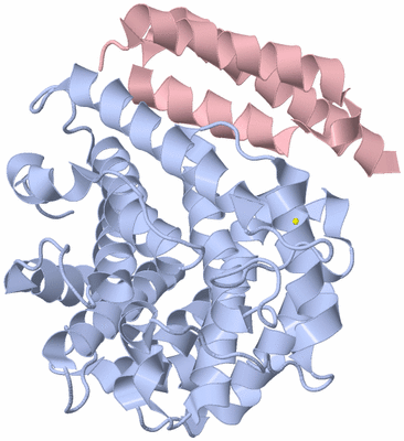 Image Biological Unit 1