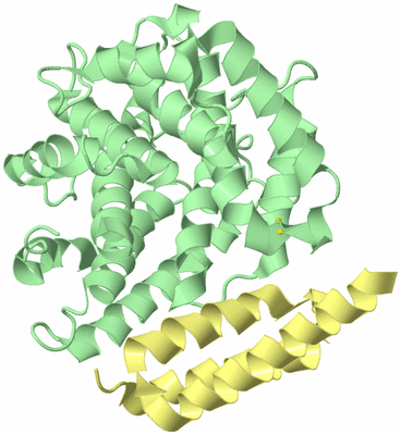 Image Biological Unit 2