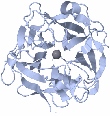 Image Biological Unit 1