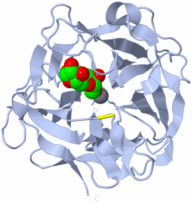 Image Biological Unit 1