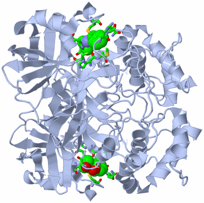 Image Biol. Unit 1 - sites