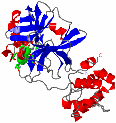 Image Asym. Unit - sites