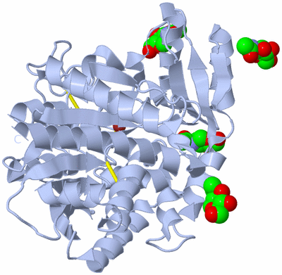 Image Biological Unit 1