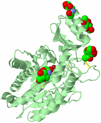 Image Biological Unit 2