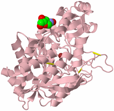 Image Biological Unit 3