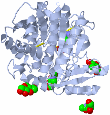 Image Biological Unit 1