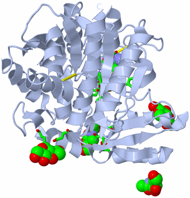 Image Biol. Unit 1 - sites