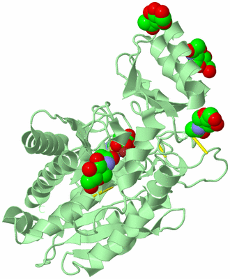 Image Biological Unit 2