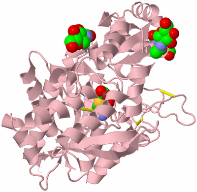 Image Biological Unit 3