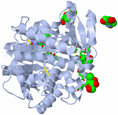 Image Biol. Unit 1 - sites