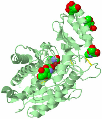 Image Biological Unit 2