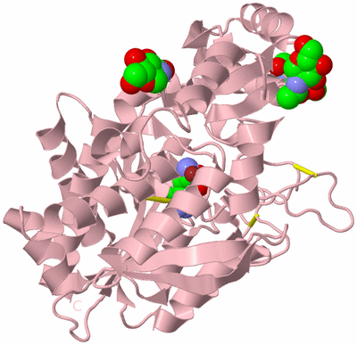 Image Biological Unit 3