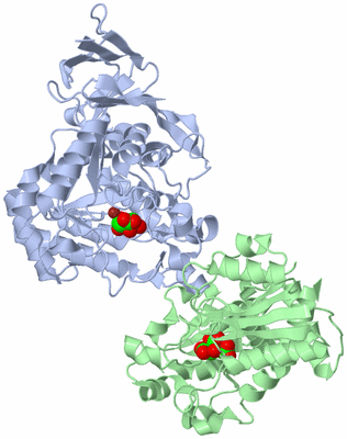 Image Biological Unit 2