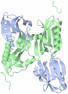 Image Biological Unit 2