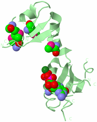 Image Biological Unit 1