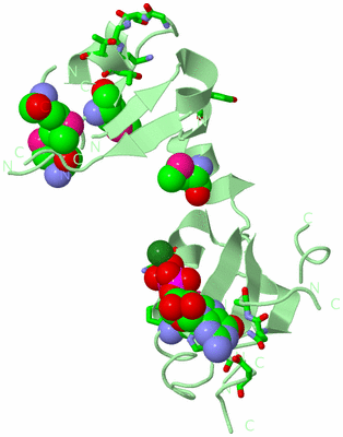 Image Biol. Unit 1 - sites