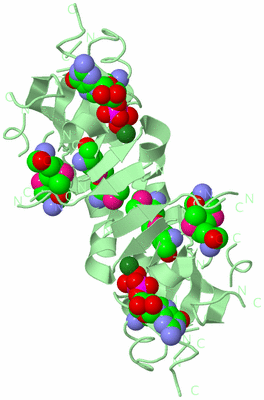 Image Biological Unit 2