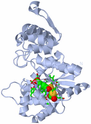 Image Biol. Unit 1 - sites