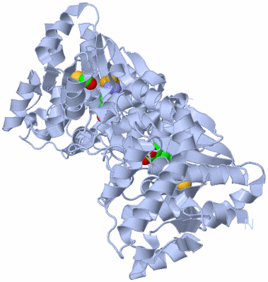 Image Biological Unit 2