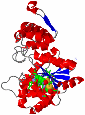 Image Asym. Unit - sites