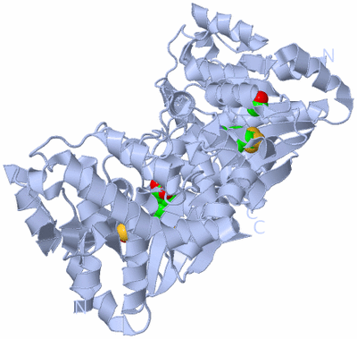 Image Biological Unit 2