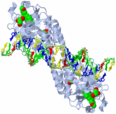 Image Biological Unit 1