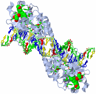 Image Biol. Unit 1 - sites