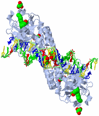 Image Biological Unit 1