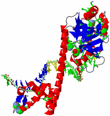 Image Asym. Unit - sites