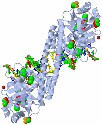Image Biological Unit 1