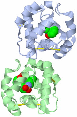 Image Biological Unit 1