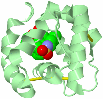 Image Biological Unit 3